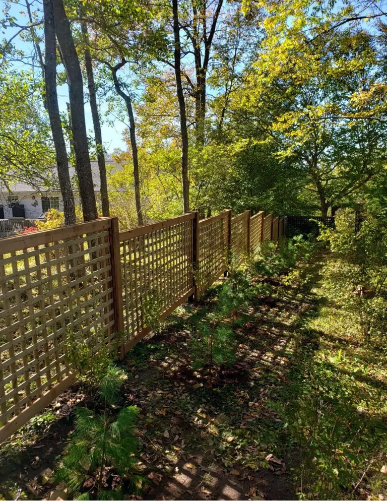 Completed privacy fencing around a backyard